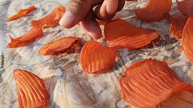 drying potato chips or aaloo chips or batata papad traditional Indian method of presentation of food, ready to fry chips, Indian snack. Homemade Potato Chips Making Process .