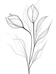 Obraz premium Botanical arts. Hand drawn continuous line drawing of abstract flower, floral, Bird of Paradise, herb, tulip, bouquet of olives. Vector illustration.