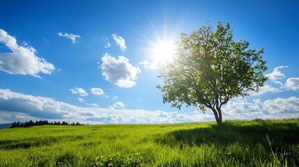 Obraz premium Solitary Tree Bathed in Sunlight Against a Bright Blue Sky and Clouds : Generative AI