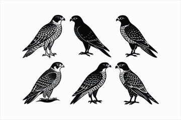 Set of falcon bird vector illustration.