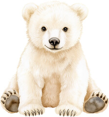 Obraz premium Adorable Baby Polar Bear Cub Sitting Watercolor Illustration Perfect for Children s Books and Prints