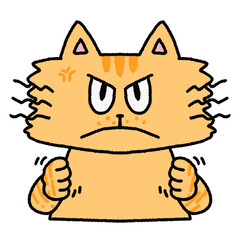 怒っているねこのイラスト