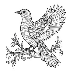 vector illustration of a bird