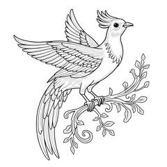 vector illustration of a bird