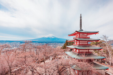 Panorama of Mount Fuji with sakura cherry Blossom in Spring and Chureito pagoda in temple at Japan
