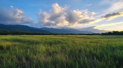 Fototapeta premium Scenic Landscape View of Lush Green Fields Under Dramatic Clouds and Mountains : Generative AI