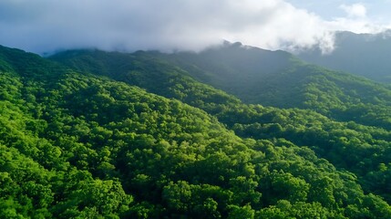 Vast Green Forest Mountains Under Cloudy Skies for Nature and Adventure Photography : Generative AI