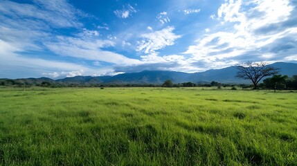 Obraz premium Stunning Green Landscape Under Blue Sky With Mountains in the Background : Generative AI