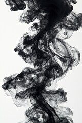 Fototapeta premium A black and white photo of smoke on a white background