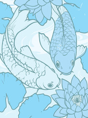 Fototapeta premium vector illustration of koi fish