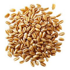 Obraz premium Pile of wheat grains Cut out with transparent background