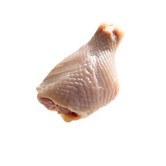 raw chicken leg