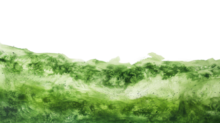 Green watercolor paint splashing with transparent background