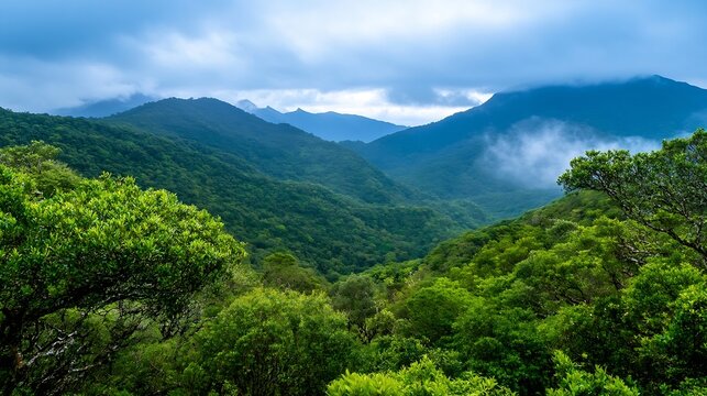 Lush Green Mountain Landscape Shrouded in Mist with Majestic Peaks in the Background Perfect for Nature Lovers : Generative AI