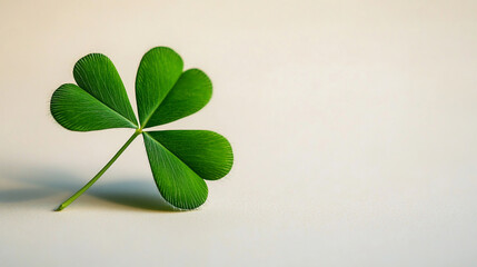 Single green shamrock symbolizes luck and prosperity