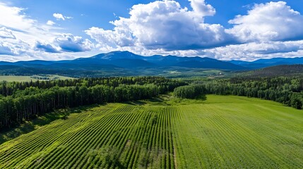 Obraz premium Aerial view of lush green fields and forests against a backdrop of majestic mountains and clouds : Generative AI