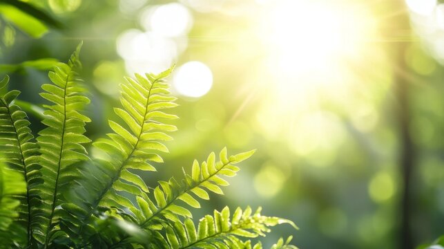 Polypodium Leucotomos Fern Extract with Natural Sunlight Glow