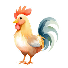 Cute rooster in watercolor style. Hand drawn farm animals. Watercolor hen