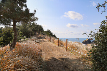 바다와 언덕이 어우러진 풍경 제주 제주시 한경면 용수리 올레길 12코스 생이기정