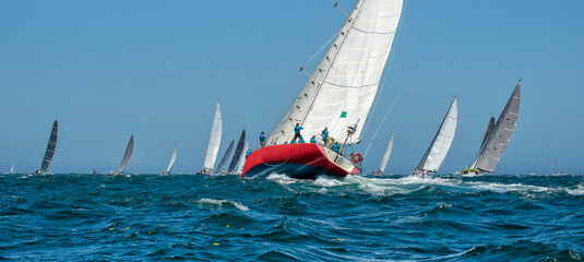 Sailing yacht regatta. Yachting. Sailing   © Alvov