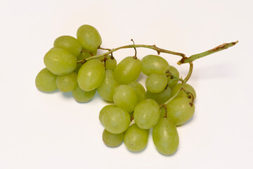 Rispe mit hellen Weintrauben auf weißem Hintergrund, Studio