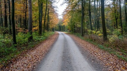 Fototapeta premium Autumn Scene of Serene Dirt Road Surrounded by Trees with Fallen Leaves in a Tranquil Forest : Generative AI