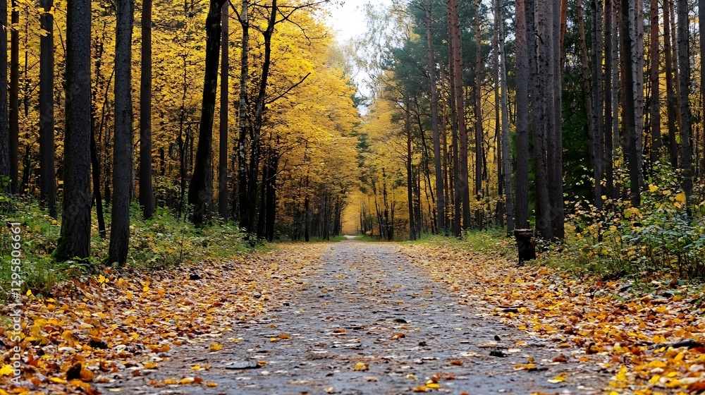 Poster scenic autumn pathway flanked by vibrant yellow trees inviting an autumn walk : generative ai