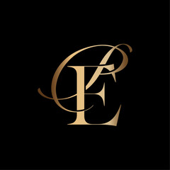 Minimalist Luxury Letter E Logo Design