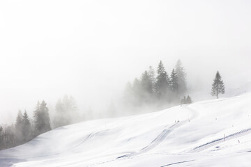 Minimal winter landscape in fog with cross-country skiing track