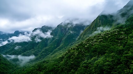 Obraz premium Misty Mountain Landscape with Lush Green Forests and Dramatic Cloud Cover : Generative AI