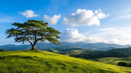 Fototapeta premium Stunning Green Tree Stands Majestically Against Blue Sky Scenic Mountain View : Generative AI