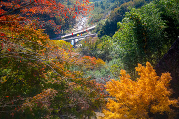 Oka Castle ruins, a Sengoku to Edo period yamajiro-style Japanese castle located in the city of Taketa, the ruins have been protected as a National Historic Site, Oita, Kyushu, Japan