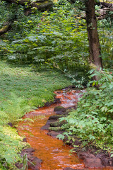 Obraz premium Iron oxide in water stream. Dissolved iron oxide (rust) powder from groundwater in a stream flowing though bright green leaf and grass fiels with forest on the sides, North Rhine-Westphalia, Germany