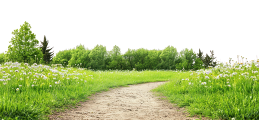 PNG Real park dirt path flowers green landscape.