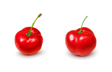 アセロラ イラスト リアル 白バック