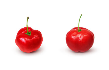 アセロラ イラスト リアル 白バック