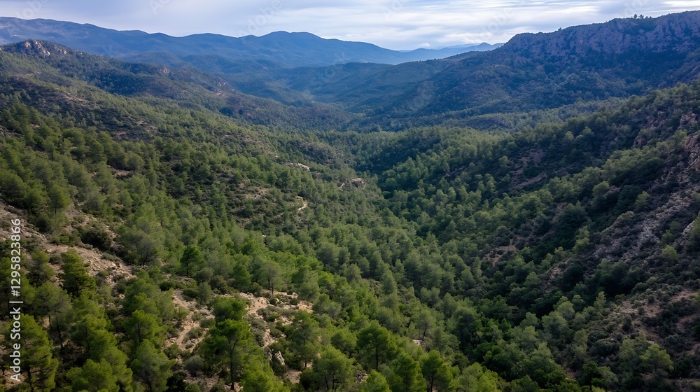 Poster breathtaking aerial view of vast mountainous landscape with dense pine forest : generative ai