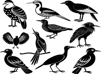 silhouetted bird set illustration