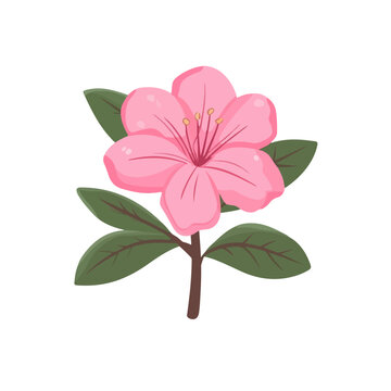 pink flower green leaves isolated clip art preview