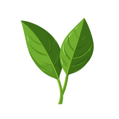 A Simple flat 2D icon green basil leaves branch isolated on a transparent background, vector, flat design, animation design, vector, flat design, simple flat 2D icon, vector  illustration