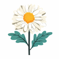 A flat 2D vector illustration of a white chrysanthemum branch flower, designed as an icon and isolated on a white background. simple icon design, flower set collection