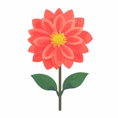 A Simple flat 2D illustration of red dahlia branch flower isolated on a white background, Ai design, flat 2D design