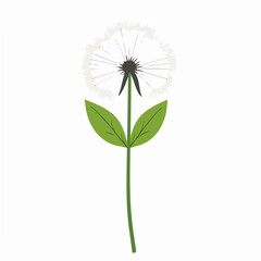 A Simple flat 2D illustration of dandelion leaf branch flower isolated on a white background, Ai design, flat 2D design