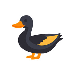 Simple flat 2D icon duck set isolated on a transparent background, vector, flat design, animation design, vector, flat design, animation design, animal set