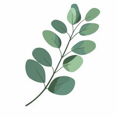 A flat 2D vector illustration of a branch of eucalyptus leaf, designed as an icon and isolated on a white background. simple icon design