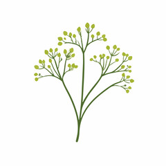 Obraz premium A flat 2D vector illustration of a green fennel seed, designed as an icon and isolated on a white background. simple icon design