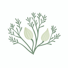 A flat 2D vector illustration of a green fennel seed, designed as an icon and isolated on a white background. simple icon design