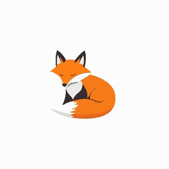 Obraz premium Simple flat illustration orange fox motion graphic flat-design vector animation style, isolated in white background, 2D flat icon, logo