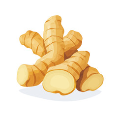 A simple flat 2D icon of sliced ginger root isolated on the background, vector design, ideal for animation, UI/UX design, mobile apps, web design illustrations, flat 2D