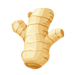 A simple flat 2D icon of ginger root isolated on the background, vector design, ideal for animation, UI/UX design, mobile apps, web design, digital illustrations, flat 2D